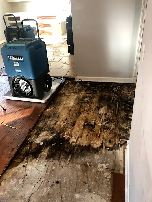 DirtyDucts DBA Impact Environmental Restoration Picture 10