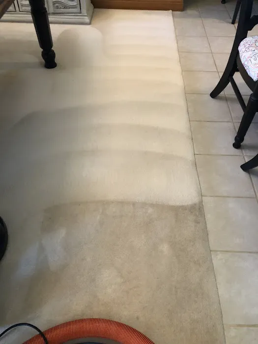 Precision Carpet & Air Duct Cleaning Picture 5