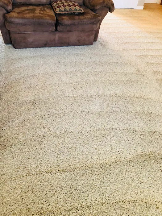 Precision Carpet & Air Duct Cleaning Picture 9
