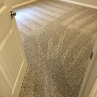 Precision Carpet & Air Duct Cleaning ico