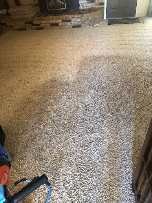 Precision Carpet & Air Duct Cleaning Picture 7