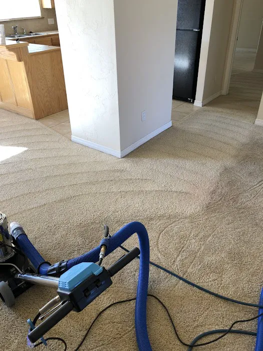 Precision Carpet & Air Duct Cleaning Picture 4