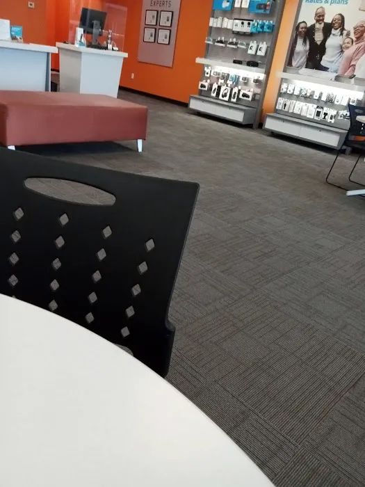 Action Carpet Cleaning and Restoration LLC Picture 10