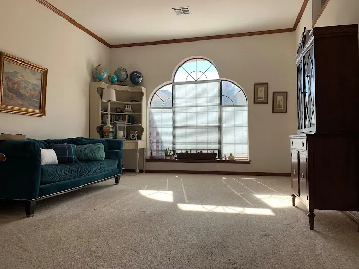 Action Carpet Cleaning and Restoration LLC Picture 3