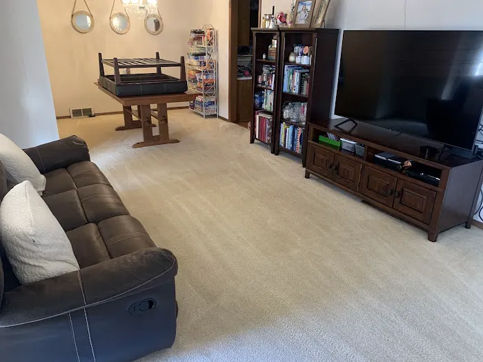Action Carpet Cleaning and Restoration LLC Picture 1