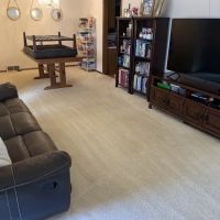 Action Carpet Cleaning and Restoration LLC ico