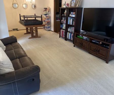 Action Carpet Cleaning and Restoration LLC