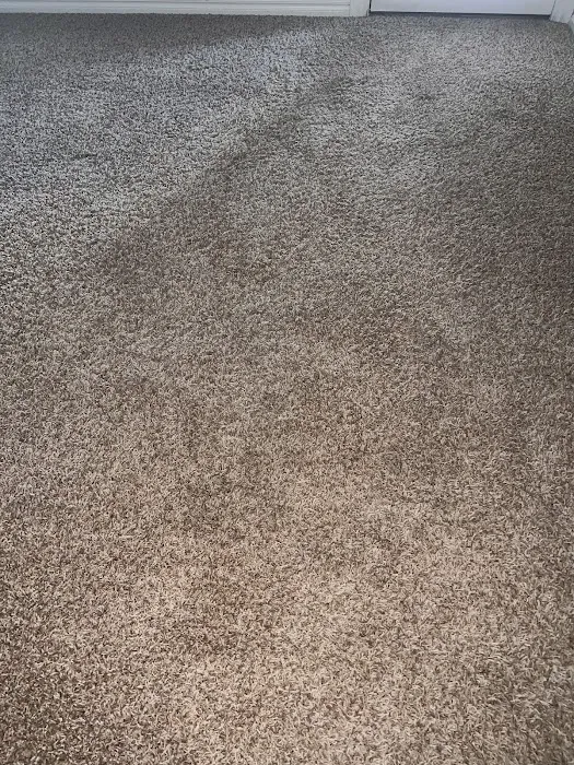 Stanley Steemer Picture 10