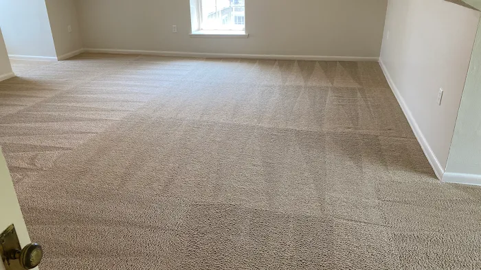 A Team Carpet Clean Picture 4