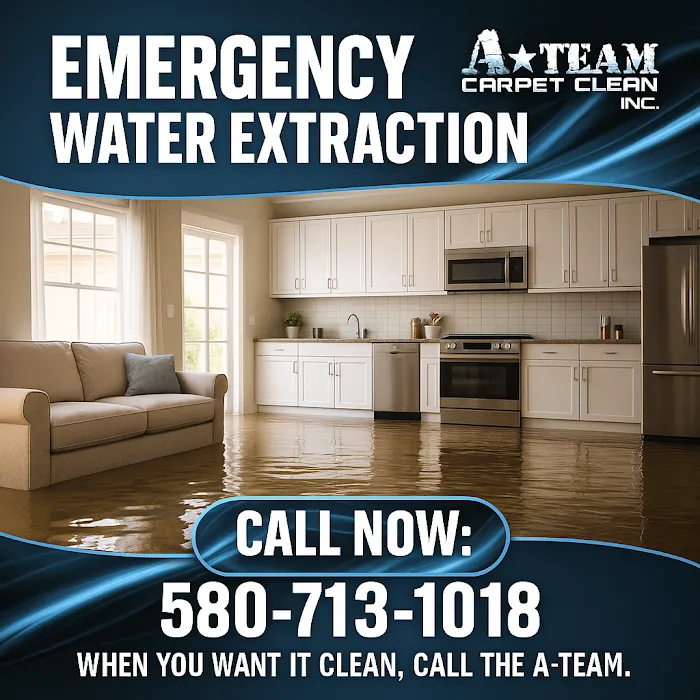 A Team Carpet Clean Picture 9