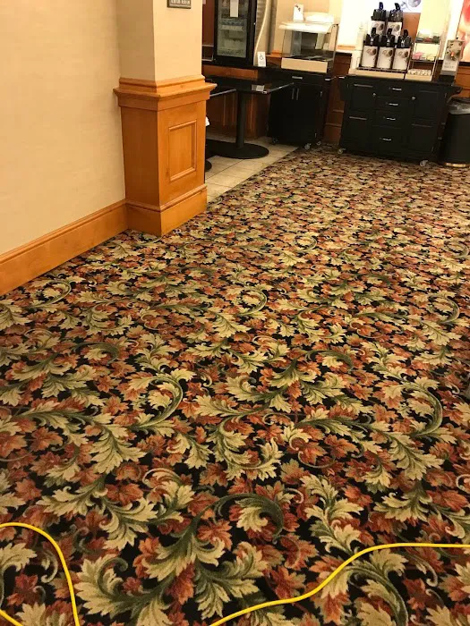 A Team Carpet Clean Picture 6