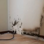 American Today North Las Vegas