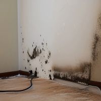 American Today North Las Vegas ico