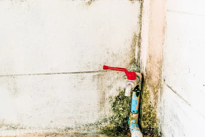 IRS Water Damage Removal Picture 8