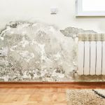 Service Water Restoration Pros