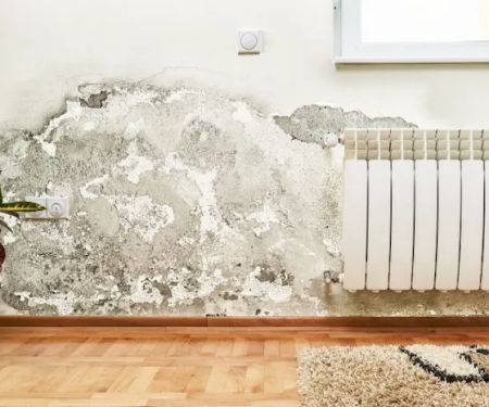 Service Water Restoration Pros