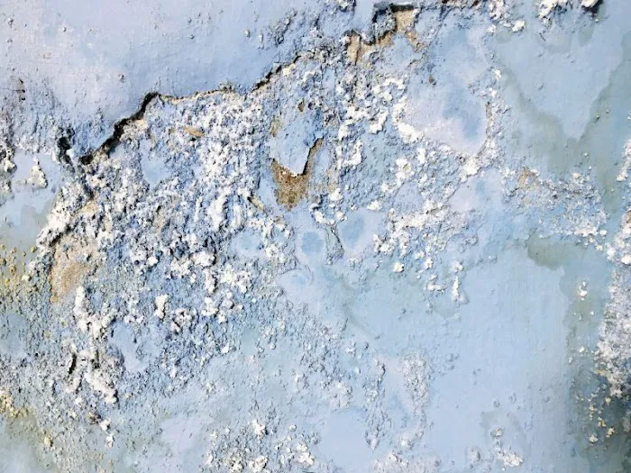 Service Water Restoration Pros Picture 9