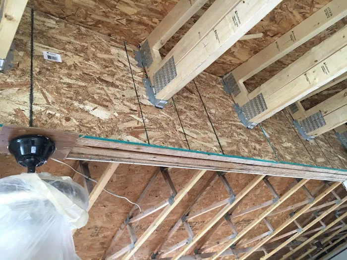 Ultimate Choice Picture 6