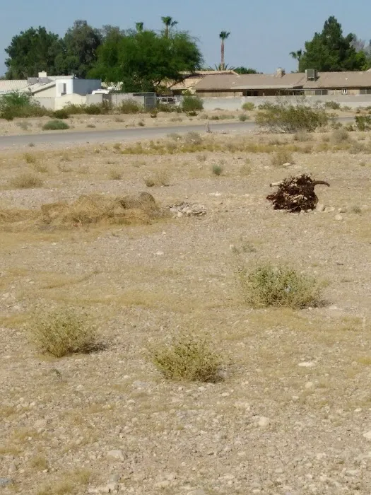 BELFOR Property Restoration (Las Vegas) Picture 10