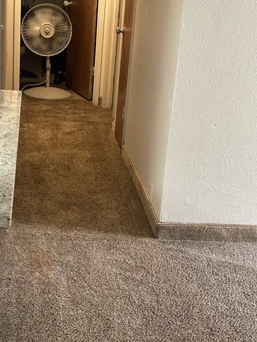 Stanley Steemer Picture 9