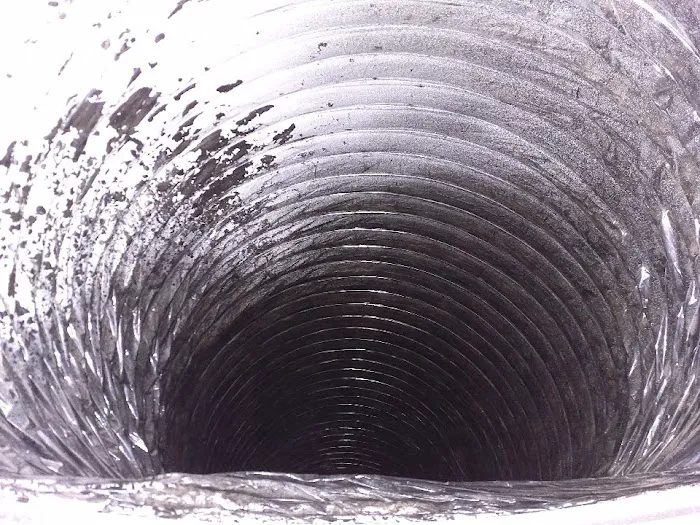 Stanley Steemer Picture 4