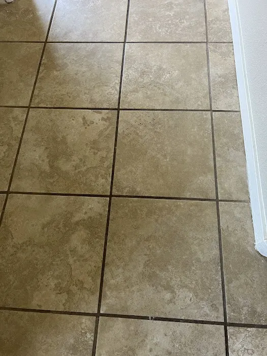 Stanley Steemer Picture 1