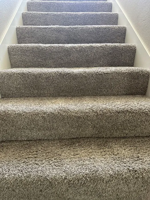 Stanley Steemer Picture 7