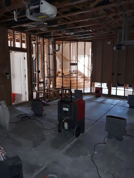 LFP Restoration Picture 4