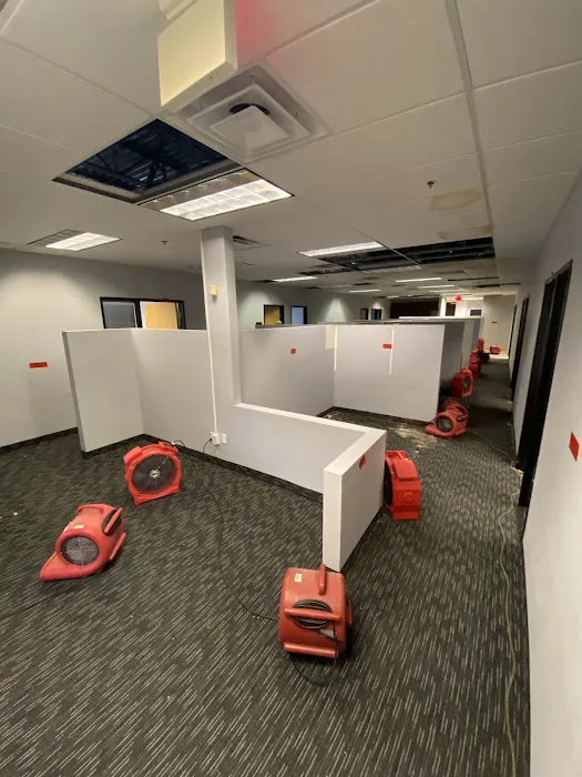 Elevate Restore Picture 4