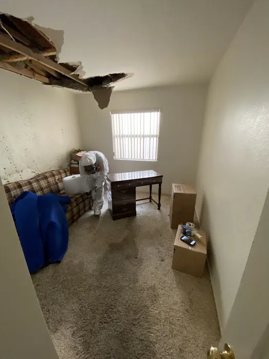 Elevate Restore Picture 6