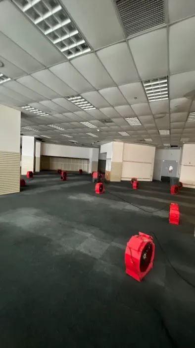 Elevate Restore Picture 8