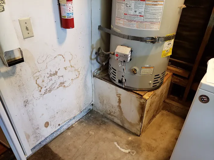 Las Vegas Mold Removal Testing and Inspection Picture 3