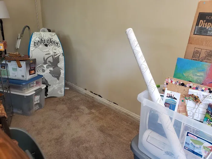 Las Vegas Mold Removal Testing and Inspection Picture 9