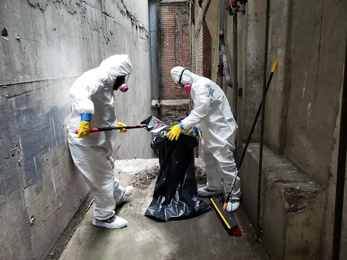 Las Vegas Mold Removal Testing and Inspection Picture 7