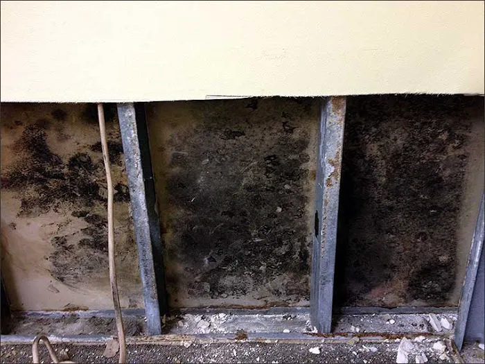 Las Vegas Mold Removal Testing and Inspection Picture 8