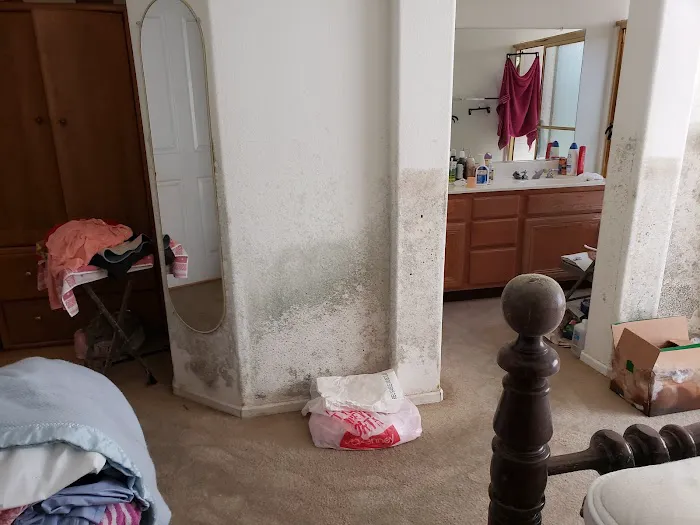 Las Vegas Mold Removal Testing and Inspection Picture 5