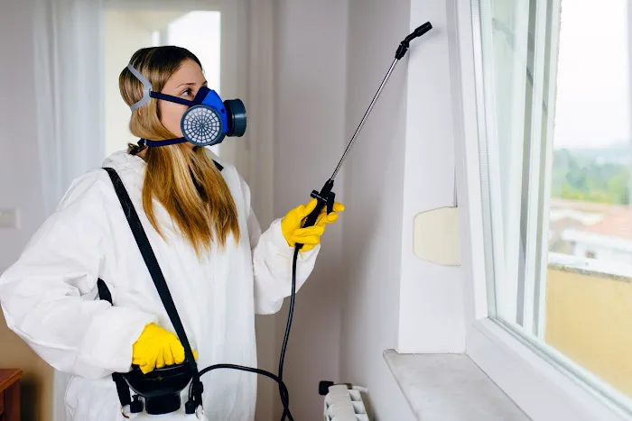 Las Vegas Mold Removal Testing and Inspection Picture 4