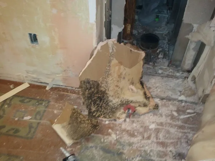 Mold Eliminators Picture 1