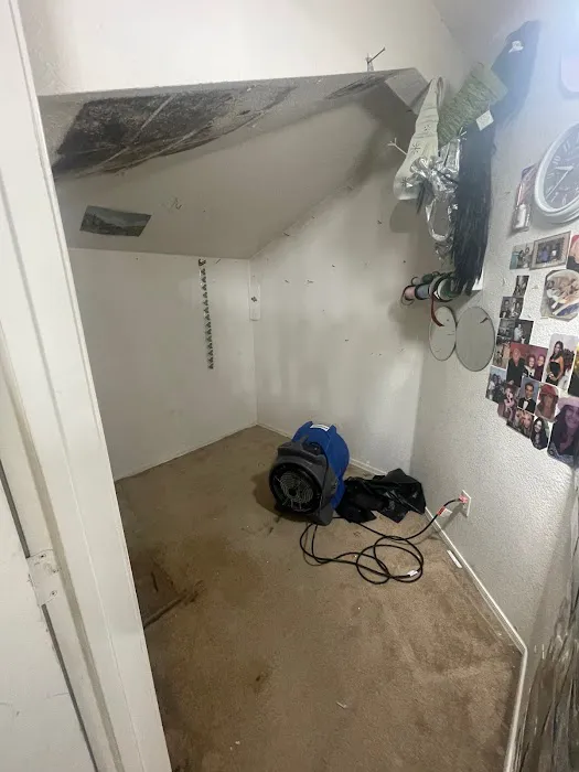 Raptor Restoration Picture 9