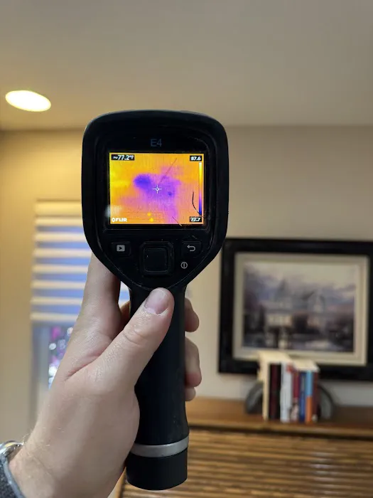 Raptor Restoration Picture 8