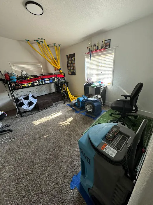 Raptor Restoration Picture 1