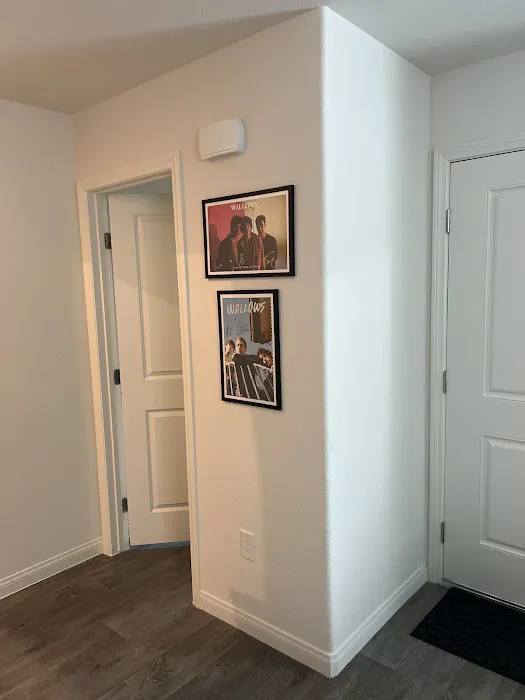 Raptor Restoration Picture 4