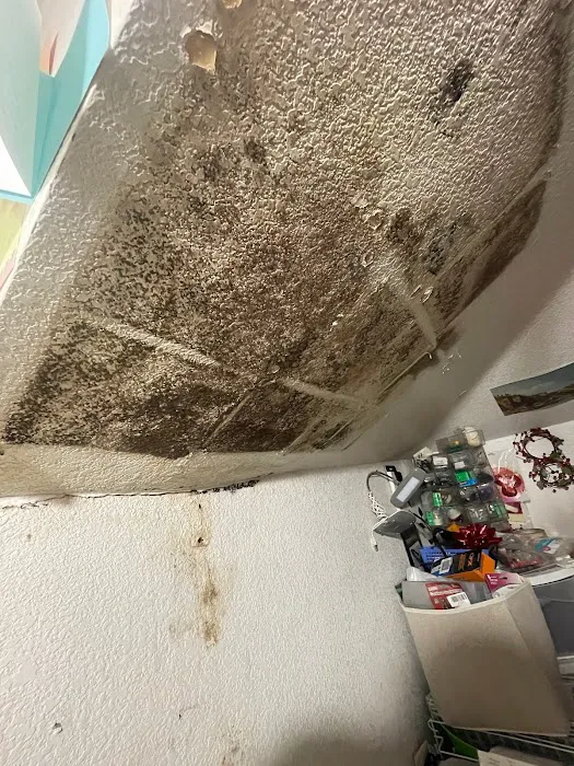 Raptor Restoration Picture 2