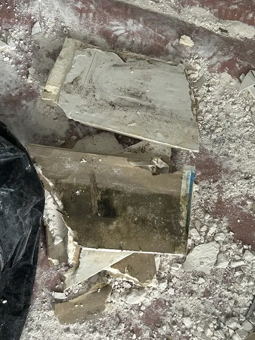 Raptor Restoration Picture 5