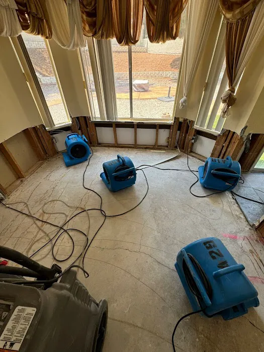 Raptor Restoration Picture 7