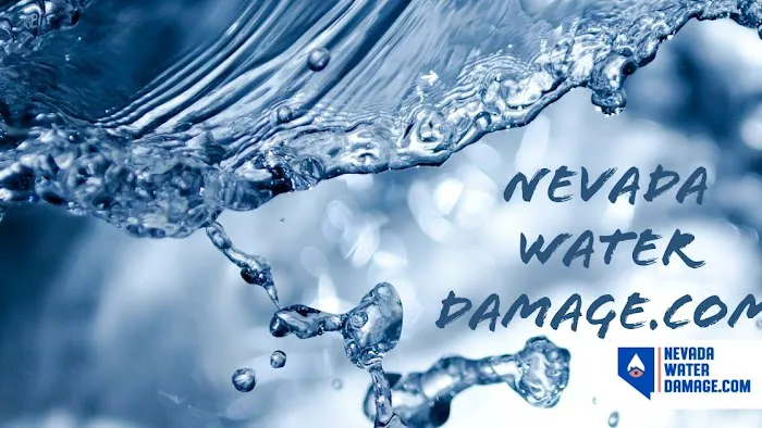 Nevada Water Damage Picture 3