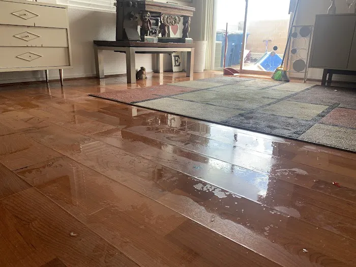 AAA Restoration Picture 7