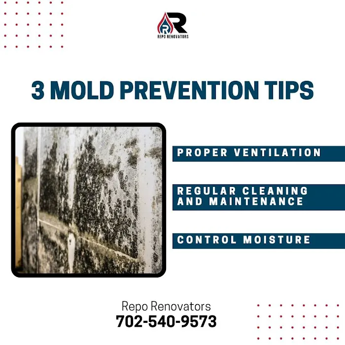 Repo Renovators Picture 8