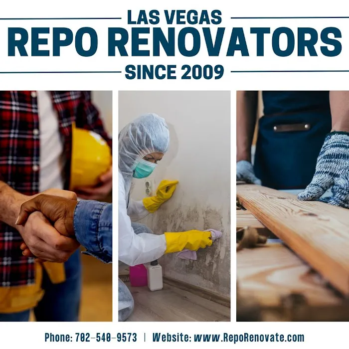 Repo Renovators Picture 10