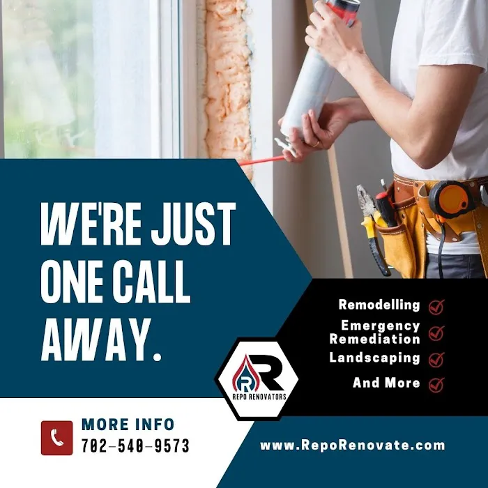 Repo Renovators Picture 2